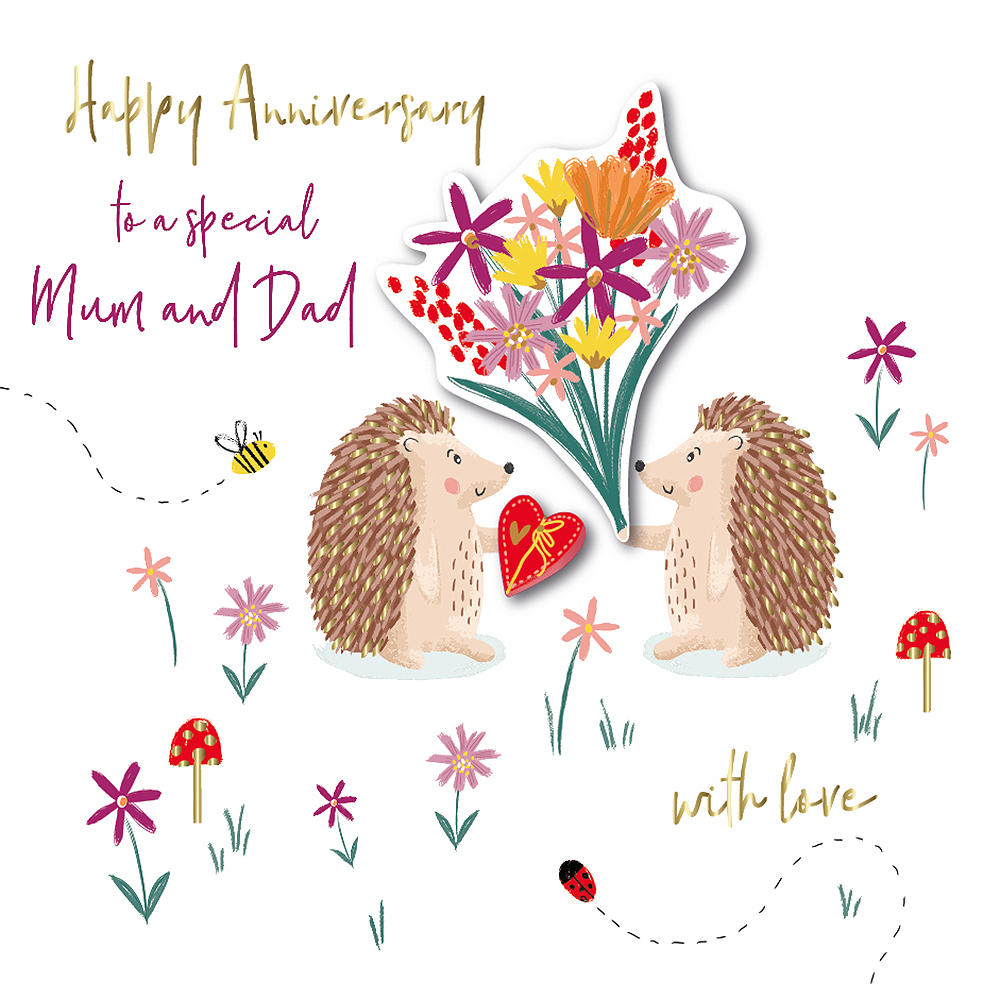 Mum And Dad Hedgehogs Anniversary Embellished Greeting Card Cards